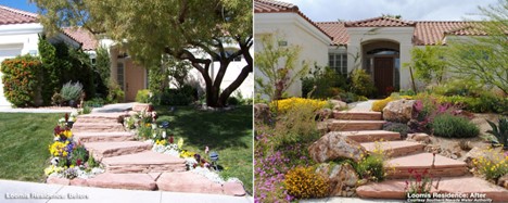 Left image shows a home with a lush grass front lawn prior to the grass removal. Right image shows the same home with lush desert landscaping in the front.